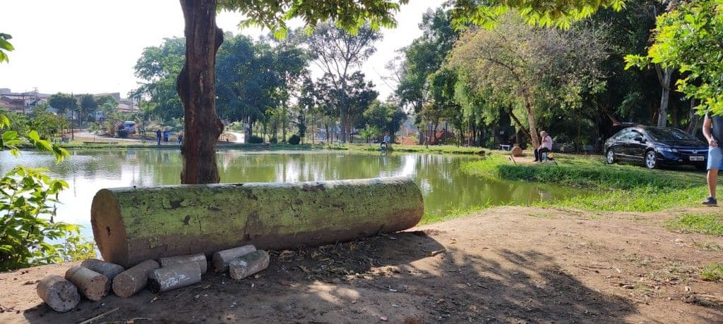 Bosque dos Lagos Cidade Orquídea
